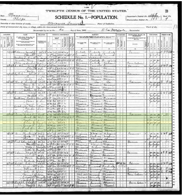 1900 Census Robert Payne and Chloe Payne